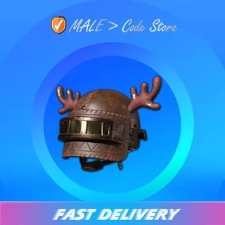 Starred Antler Helmet LV3