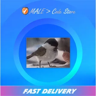 Vikendi Birb ID Card