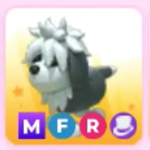 Mega English sheepdog