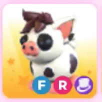 mini pig