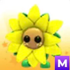 MEGA SUNFLOWER FRIEND