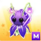 MEGA VIOLET FRIEND