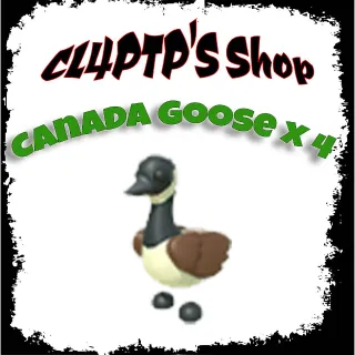 Canada Goose x 4