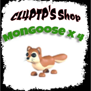 Mongoose x 4