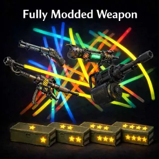 Fully Modded Weapon