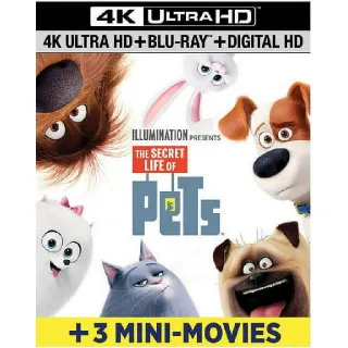 Secret Life Of Pets 4K MA