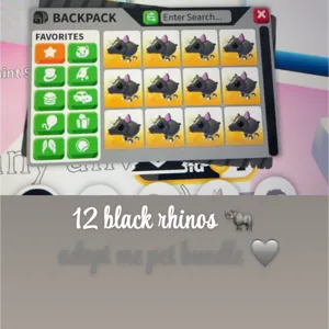 12 black rhinos