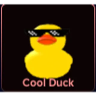 Coolduck | HOOPZ