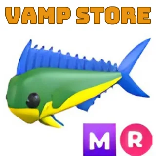 MAHI MAHI MR