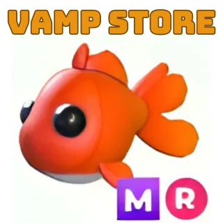 GOLDFISH MR