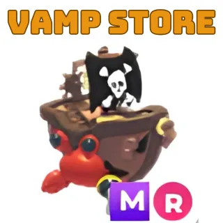 PIRATE HERMIT CRAB MR