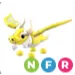 ANCIENT DRAGON NFR