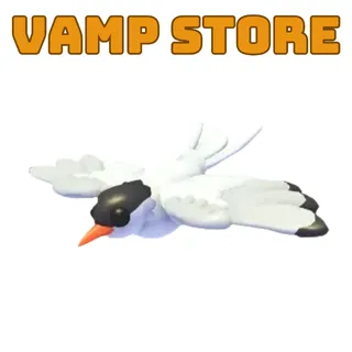 4X ARCTIC TERN