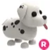 DALMATIAN R