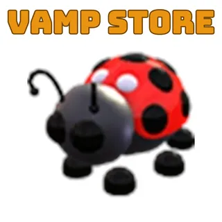 NFR LADYBUG