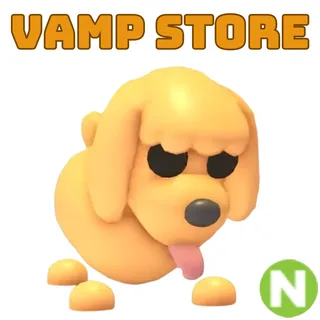 TOY POODLE NEON