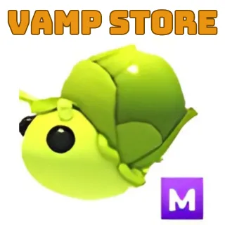 SPROUT SNAIL MEGA