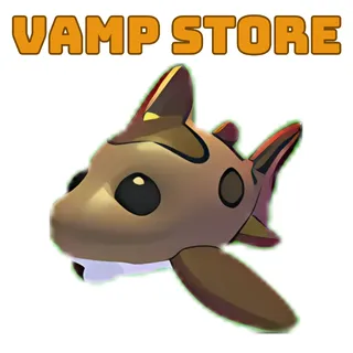 LEOPARD SHARK