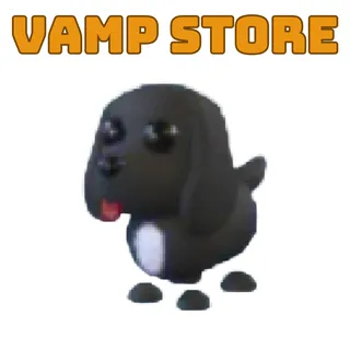 N Royal Palace Spaniel