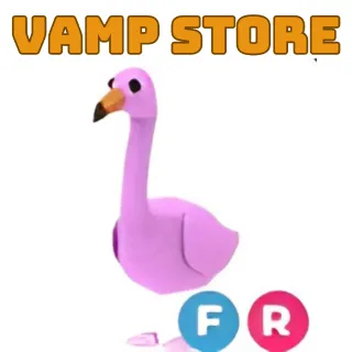 FLAMINGO FR