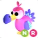 DODO NR