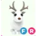 ARCTIC REINDEER FR