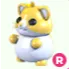 GOLDEN HAMSTER R