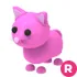 PINK CAT R