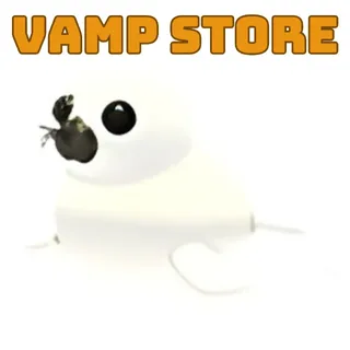 HARP SEAL