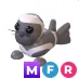 RIBBON SEAL MFR