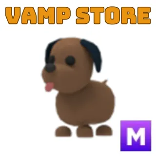 CHOCOLATE LABRADOR MEGA