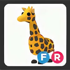 FR GIRAFFE