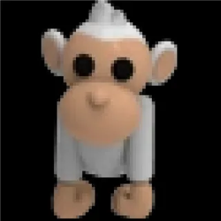 FR ALBINO MONKEY