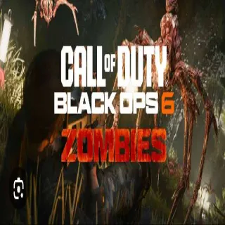 COD BO6 Zombies EE