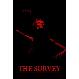  The Survey