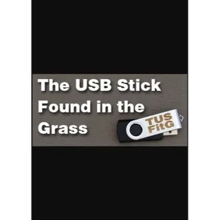 The USB Stick Found in the Grass + 2 Game