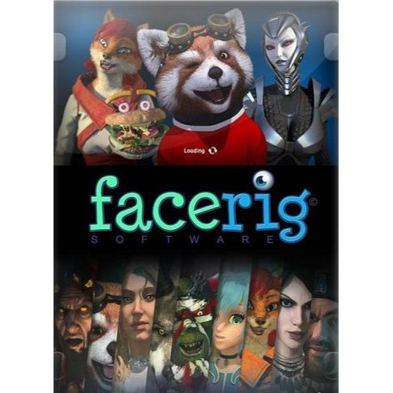 Facerig Steam Games Gameflip