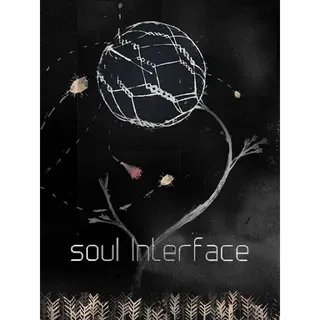 soul Interface