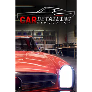 Car Detailing Simulator