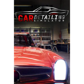 Car Detailing Simulator