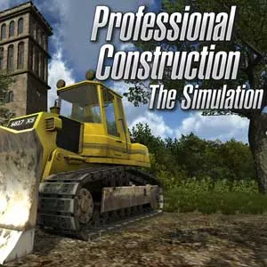  Professional Construction: The Simulation