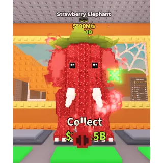 Strawberry elephant 500M/ps