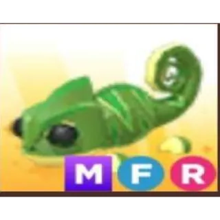 MFR CHAMELEON