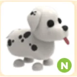 NO POTION NEON DALMATIAN