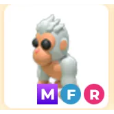 MFR ALBINO GORILLA