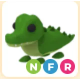 NFR CROCODILE