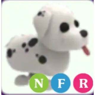 NFR DALMATIAN