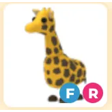 FR GIRAFFE