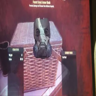 Forest Scout Armor Mask