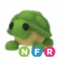 NFR Turtle